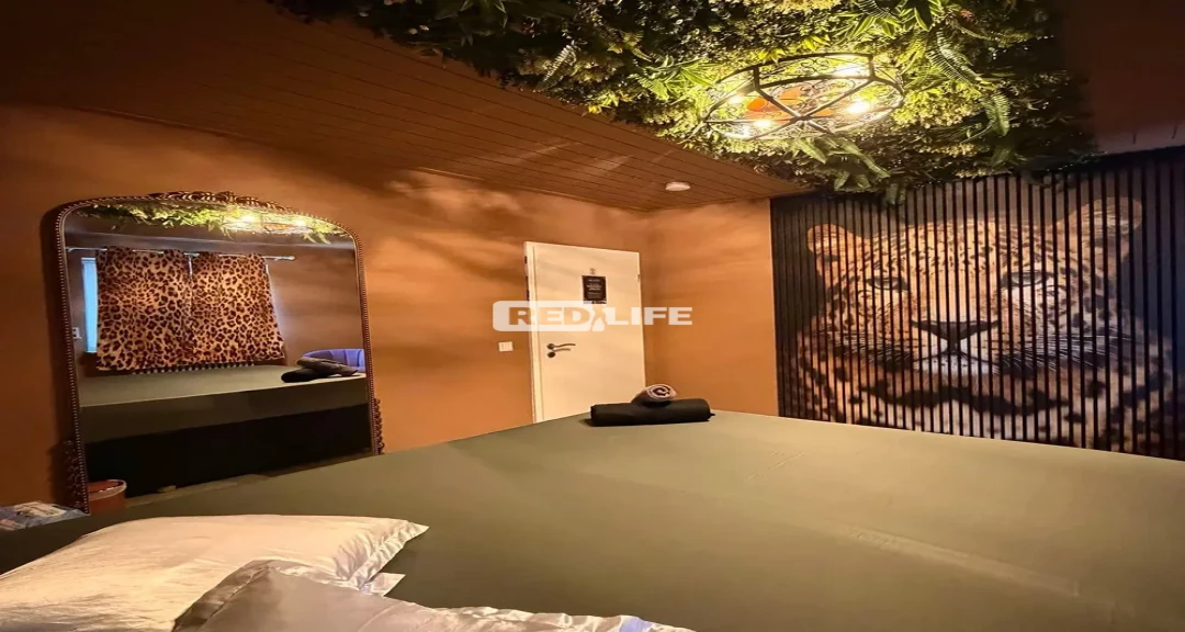 5 apartamente private din Germania