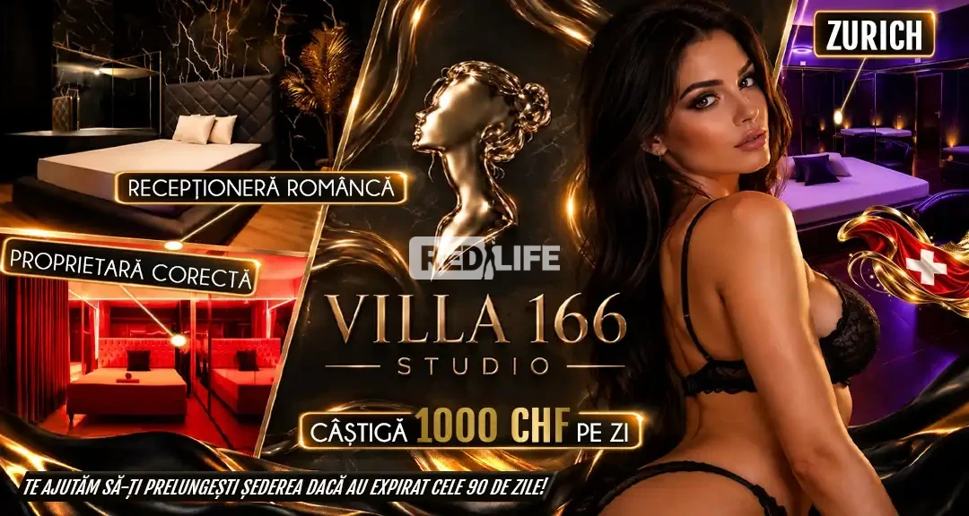 Villa 166: Mediu de lucru