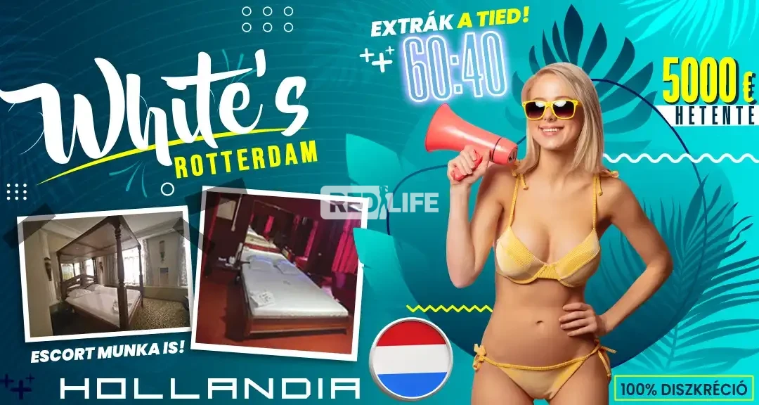 Extra magas kereset Hollandiában, a
