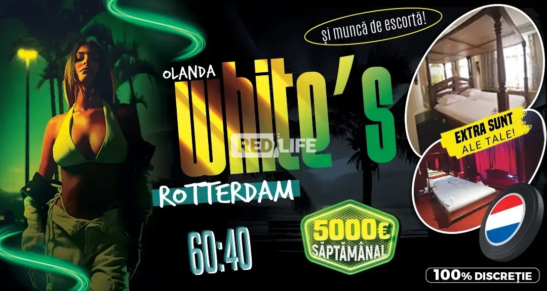 Muncă erotică &icirc;n Olanda, &icirc;n