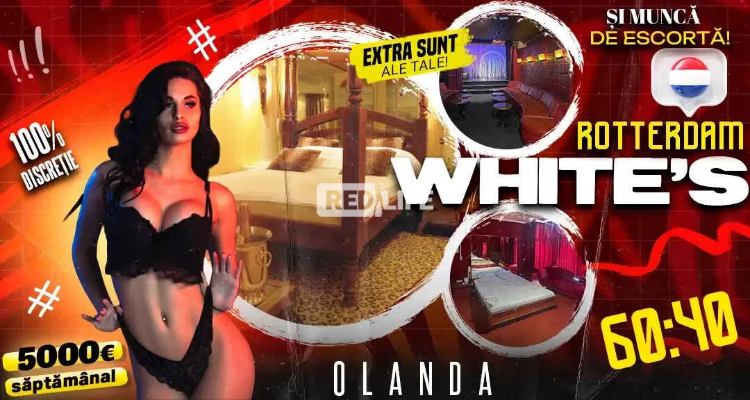 Muncă erotică &icirc;n Olanda, &icirc;n