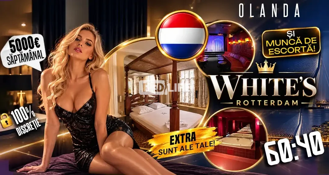 Muncă erotică &icirc;n Olanda, &icirc;n