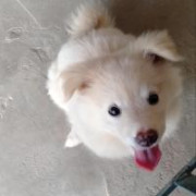Bhavesh14