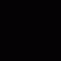 Dynamo69