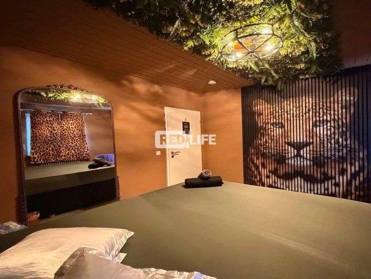apartamente private chirie fixă proprietară